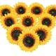 thumbnail image 1 of 10Pcs Artificial Sunflower Heads Silk Sunflowers Heads Arrangements for Party Wedding Sunflowers Decor Craft 5.5 Inch, 1 of 5