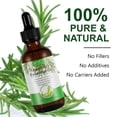thumbnail image 4 of Aceite de romero de 60 ml para el crecimiento del cabello y el cuidado de la piel - Aceite esencial de romero orgánico 100% puro para cejas y pestañas oso de fresa Hogar, 4 of 5
