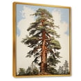 thumbnail image 2 of Designart "Solitary Rising Redwoods I" Tree Redwood Floater Framed Wall Art Prints, 2 of 5