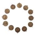 thumbnail image 1 of 4x12 Unids/set Signos Del Zodiaco Chino Animales Moneda Colgante Feng Shui Amuleto Encantos SM SunniMix Moneda del Zodíaco Chino, 1 of 7