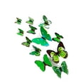 thumbnail image 4 of Toystoory 12 piezas 3D mariposa pegatinas de pared arte calcomanía PVC decoración del hogar tienda boda DIY Decoración del hogar verde, 4 of 6