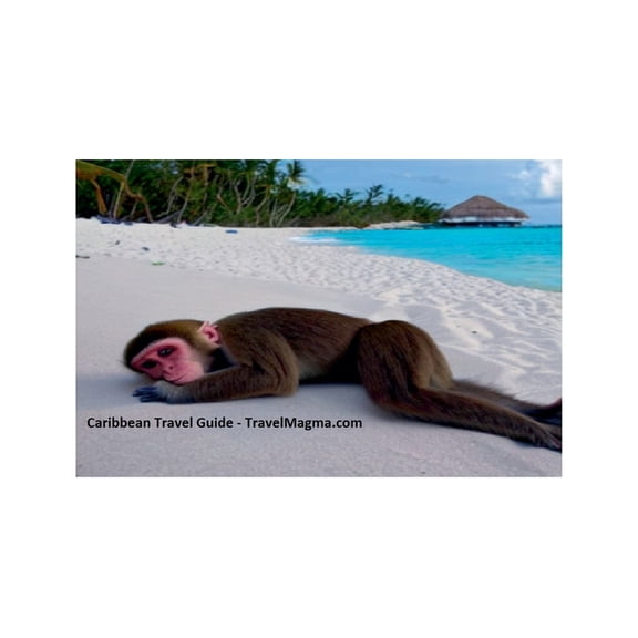 Caribbean Travel Guide - Explore the Caribbean Islands, (Paperback)