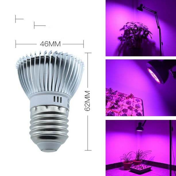 Ampoule LED de croissance 40 W, ampoule de plante à spectre complet 40 LED  pour plantes d'intérieur, légumes et semis, lumière de croissance pour