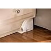 Tomcat Kill & Contain Mouse Trap, 2-Pack (4 Traps)