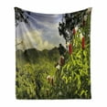 thumbnail image 1 of Forest Soft Flannel Fleece Throw Blanket, Rural Scenery Costa Rica Countryside Greenery Tropic Accents Botanical, Cozy Plush for Indoor and Outdoor Use, 70" x 90", Green Red Violet Blue, by Ambesonne, 1 of 6