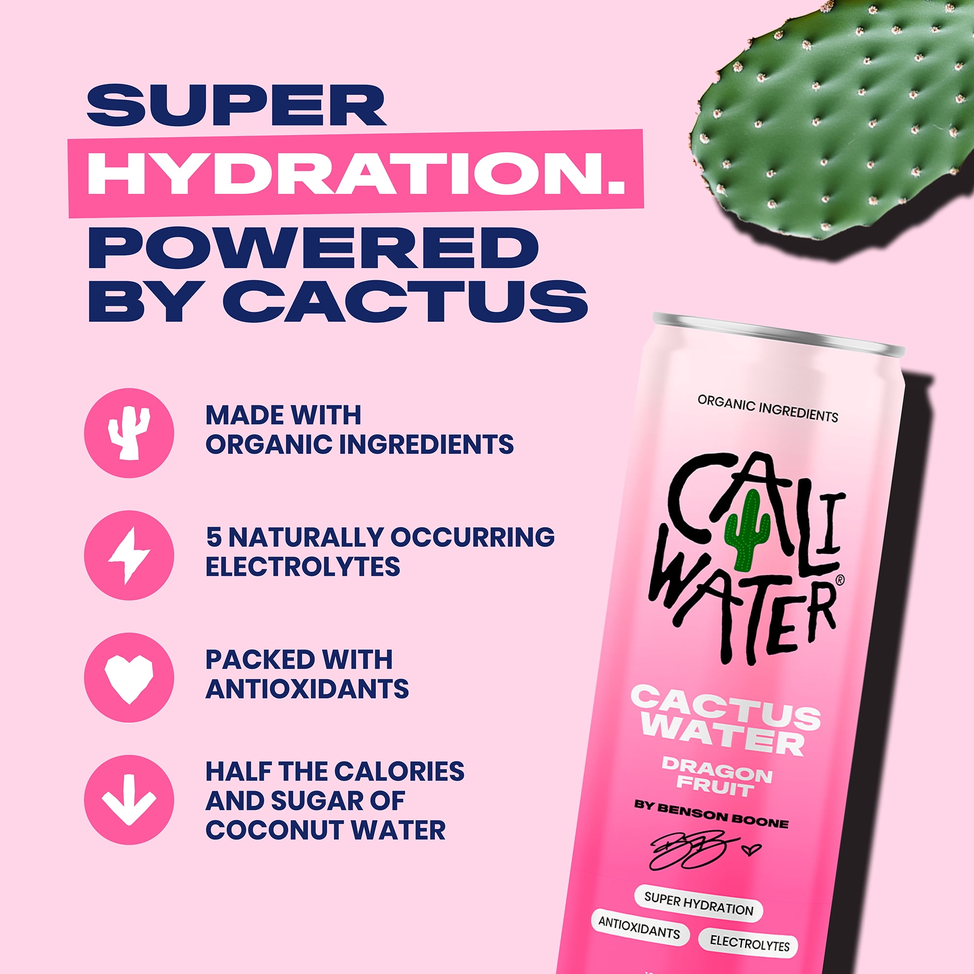 Caliwater Cactus Water, Dragon Fruit by Benson Boone, Coconut Water Alternative, 12 fl oz Can, 12 Pack
