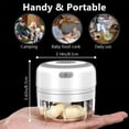 thumbnail image 3 of PanBiqintyy Electric Mini Garlic Mincer 100/250ML USB Vegetable Onion Chopper Portable Small Food Processor for Ginger Chili Vegetables, 3 of 10