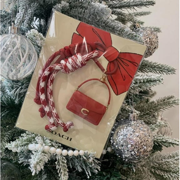 2025 Tabby Lunar Bag Charm Red Key Ring Keychain