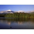 thumbnail image 2 of Grandmaison, Mike 18x14 Gold Ornate Wood Framed with Double Matting Museum Art Print Titled - Canada, British Columbia, Coastal forest, 2 of 4
