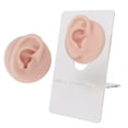 thumbnail image 1 of High Simulation Silicone Ear Model for Piercing Practice, Earring Display Props, Reusable, 1 of 7