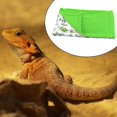 thumbnail image 4 of de dormir de con almohada y manta, accesorio para hábitat de , mascota pequeña, refugio de , cama cálida - Beige y Beige y verde Colco Cama para dormir de reptil, 4 of 7