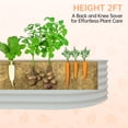 thumbnail image 3 of Raised Garden Bed – Elevated Planter Box for Indoor/Outdoor Vegetables, 3 of 8