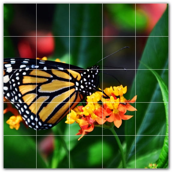 Picture-Tiles.com: Butterfly Ceramic Tile Wall Mural WAL500307-55L. 40"W x 40"H using (25) 8" x 8" Ceramic Tiles-Satin Finish