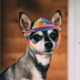 thumbnail image 4 of unbranded Sombrero Decorativo Para Perro Con Protección Solar Y Para Mascotas, 4 of 6