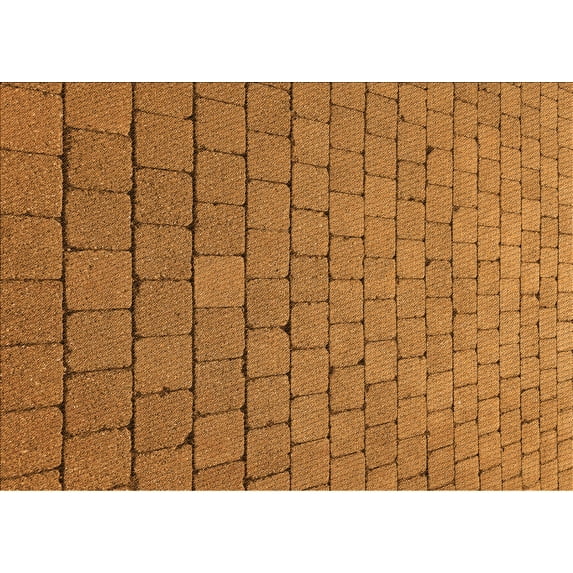 Ahgly Company Indoor Rectangle Patterned Mahogany Brown Area Rugs, 2' x 4'