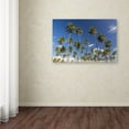 thumbnail image 3 of Trademark Fine Art 'Coconut Grove' Canvas Art by Pierre Leclerc, 3 of 3