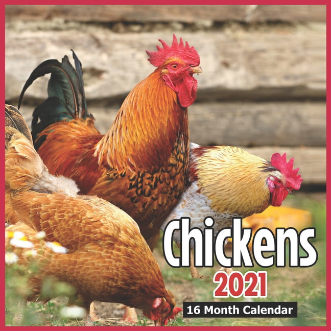 Chickens Calendar 2021 : 16 Month Calendar 2021-2022 Calendar 2021 ...