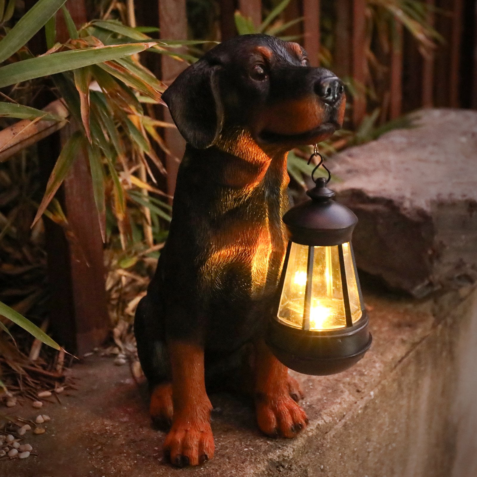 dog C
