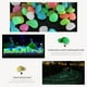 thumbnail image 4 of Piedra luminosa Irfora 100PCS Piedras brillantes para decoraciones Acuario Acuario Piedra luminosa Interior al aire libre Zen Jardín Piedras Rocas Brillan en la oscuridad Guijarros, 4 of 7