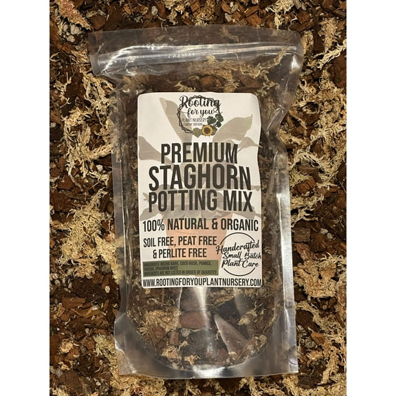 Staghorn Fern Premium Potting Mix