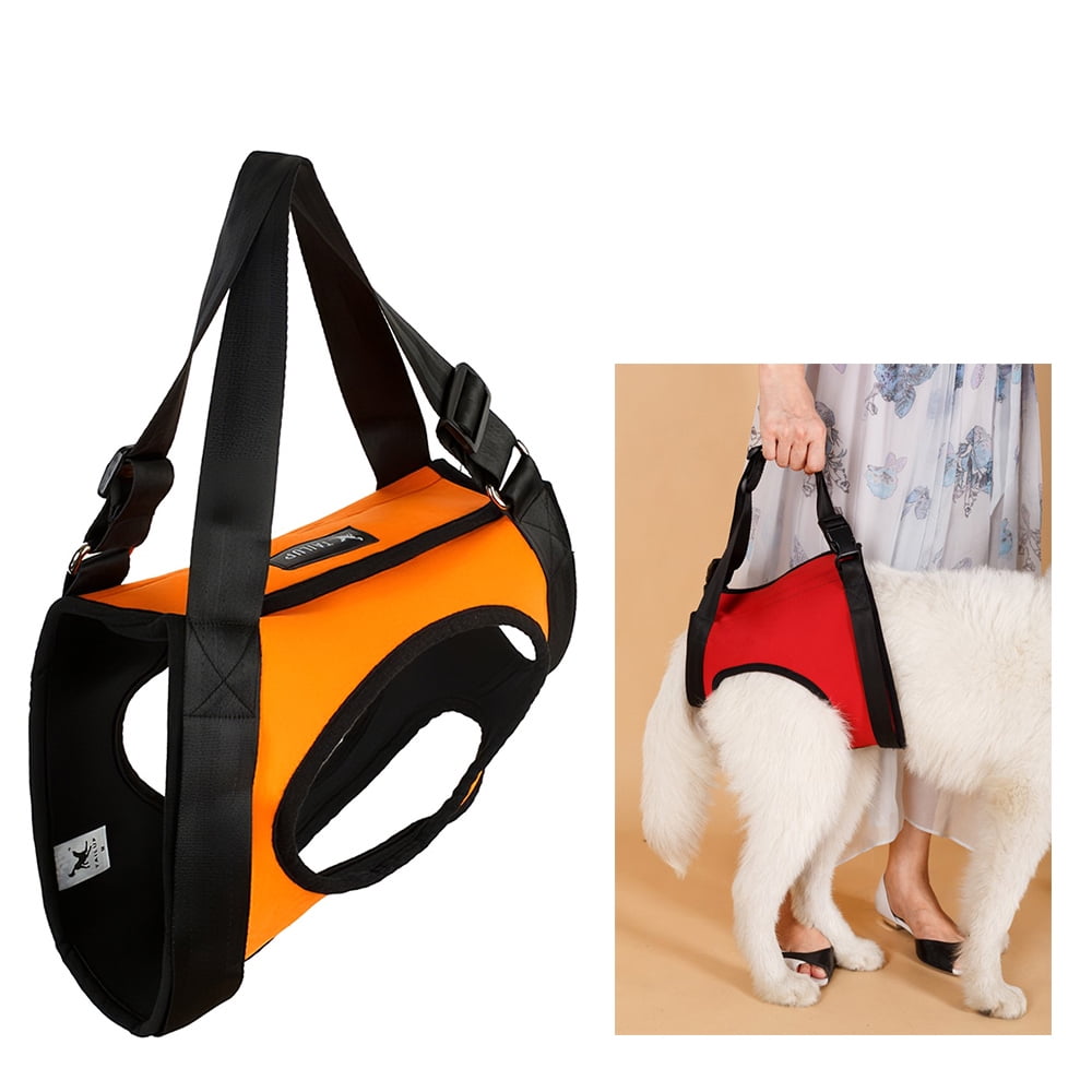 dog front leg sling