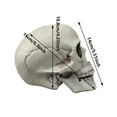 thumbnail image 3 of Human Skull Replica - Anatomically Accurate Skeleton Head Prop for Halloween Parties, Haunted Bars & Spooky Home Decorations, 3 of 7