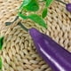 thumbnail image 5 of GOOHOCHY Cuerdas artificiales de verduras y frutas, 5 cuerdas colgantes de berenjena falsa para cocina, restaurante, pared, decoración colgante de granja, 5 of 7