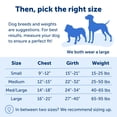 thumbnail image 5 of Arnés para perros PetSafe Easy Walk Deluxe sin tirar grande Ocean/Bla, 5 of 5