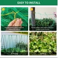 thumbnail image 7 of Plant Trellis Pergolas, Heavy-Duty Polyester Grow Net, Garden Trellis Netting With Square Mesh For Climbing Plants, Vegetables,, 7 of 7