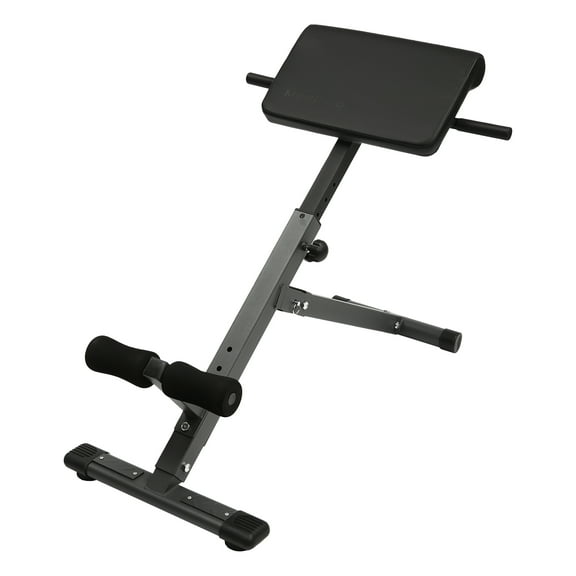 Black Adjustable Roman Chair Workouts Sit up Gym Bench Extension Machine for Home 5-Level 330 lbs