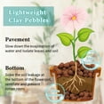 thumbnail image 6 of 15 LBS Organic Expanded Clay Pebbles, 4mm -16mm Light Expanded Clay Aggregate, Natural Clay Pebbles for Hydroponic & Aquaponics Growing, Orchid Potting Mix, Dutch Buckets, Drainage, 6 of 7