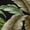 Midnight, variant on Addison Rugs Mayfield Washable Tropical Leaves Midnight Rectangle Rug, 10' x 14'