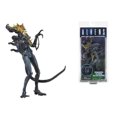 thumbnail image 1 of Figura de depredador alienígena, cicatriz enmascarada celta, chamán depredador, sala escénica, cazador de ciudad, sala de mantis xenomorfo, raq a alienígenas, 1 of 5