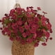 thumbnail image 1 of Xihbxyly Arreglo Floral de Manzanilla, Plantas Artificiales Realistas, Colores Amarillo y Rosa Brillantes, Decoración Vibrante para El Hogar, Accesorios de Fotografía para Sala de Estar y Bodas, Tama, 1 of 6