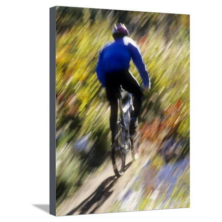 Blurred Action of Recreational Mountain Biker Riding on the Trails Stretched Canvas Print Wall