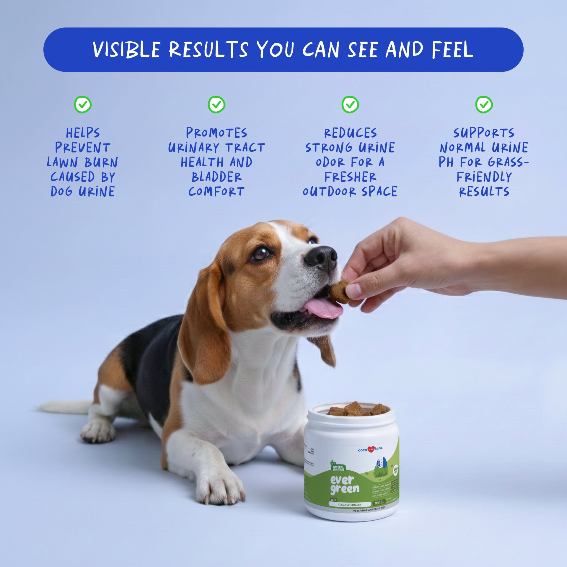 Coco and Luna Grass Burn Spot Chew - 90 Soft Chews - Dog Pee Lawn Spot Saver - Urinary Tract Support, Bladder Support for Dogs, Normal Urine - with Probiotics and Canine Enzyme Blend