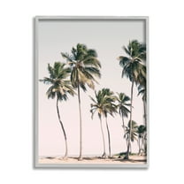 Stupell Industries Windblown Palm Trees Nature Photography Gray Framed Art Print Wall Art, 16 x 20