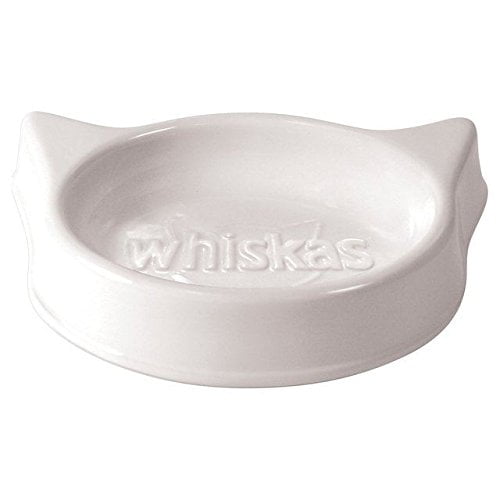 low energy level dogs