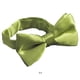 thumbnail image 5 of Qarigey Lindo y elegante niño niño pajarita vestir hacia arriba o hacia abajo con accesorio de moda Elegancia atemporal 11 Type3 NO3, 5 of 6