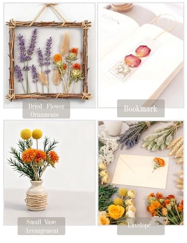 Bulk Natural Dried Flower Assortment for Vases, Including Roses and Mini Bouquets with Stems for DIY Home Decor and Crafts