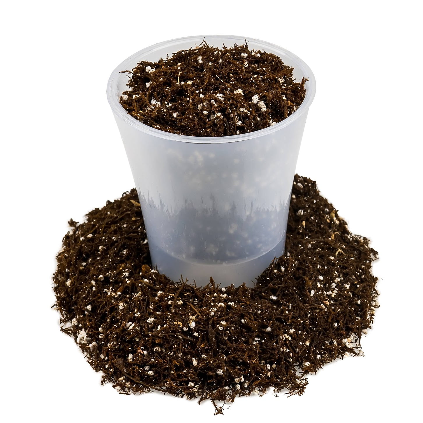 ⭐ FERN + PERLITE Soil Mix for Repotting and Planting Succulents and Cactuses - 4 Quart Bag