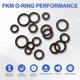 thumbnail image 2 of Kit de surtido de O Rings Uxcell de 20 piezas, O Rings de goma fluorina de 3/8" para conexiones de aire o gas, 2 of 6