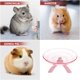 thumbnail image 3 of unbranded Estable Para Ejercicio De Mascotas Pequeñas En Color Morado Material Resistente, 3 of 8
