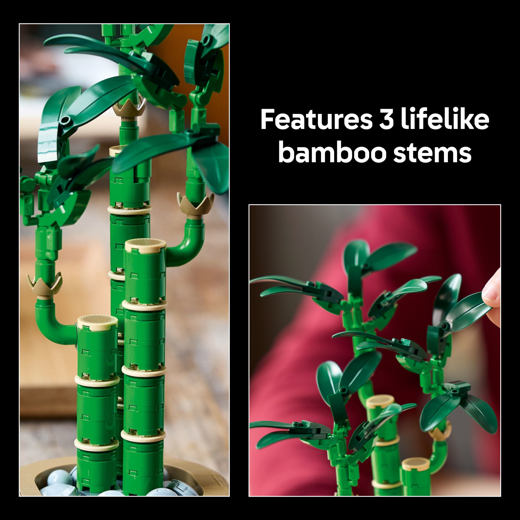 LEGO Botanicals Bambú de la Suerte Set de Construcción - Plantas Artificiales para Decoración de Interiores, Adultos Mayores de 18 Años - Idea de Regalo Única para Cumpleaños - Plantas Falsas para Mesa, Escritorio, Oficina - 10344 5