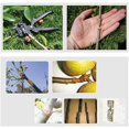 thumbnail image 5 of Tijeras de acabado con podadora incorporada para injertar ramas frutales y árboles con 3 cuchillas de repuesto, 5 of 5