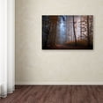 thumbnail image 3 of Norbert Maier 'Autumn Colors' Canvas Art, 3 of 3