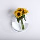 thumbnail image 5 of Redondo transparente 280 mm 28x28x125 CM Acrílico colgante de pared sala de estar colgante de pared pecera florero hidropónico creativo decoración de pared contenedor de pared ANGGREK Otros, 5 of 8