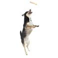 thumbnail image 6 of 16/18/25cm Pet Chewing Stick Natural Coffee Wood Dog Chew Toy Degradable Clean Kill Energy Teeth Without Destroying House, 6 of 7