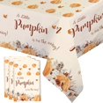 thumbnail image 1 of wonima02 Fall Boho Little Pumpkin Baby Shower Plastic Tablecloth - Autumn Disposable Thanksgiving Party Decorations - 3 PCS, 1 of 1