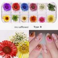 thumbnail image 1 of onlyliua Promoción de Temporada Diy Flor de Uña Seca Japonesa 12 Colores Flor de Sol Estrellada 24 Flores de Uña Seca, 1 of 2